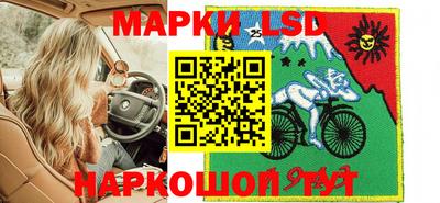 стаф Берёзовский
