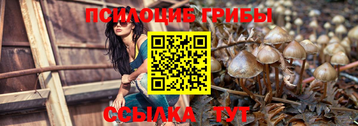 Псилоцибиновые грибы мухоморы Будённовск