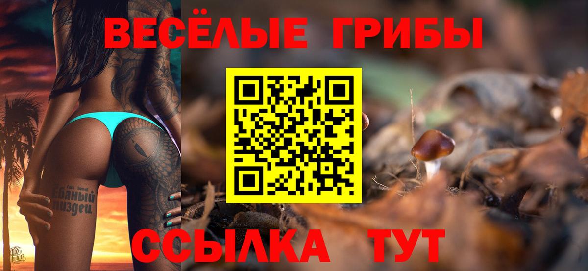 Псилоцибиновые грибы мицелий  Будённовск 