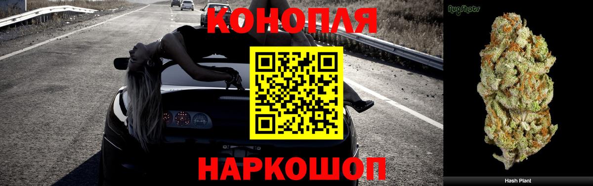 Будённовск  Шишки марихуана OG Kush  Бошки Шишки марихуана  Вход с VPN  Бошки Шишки тримм 